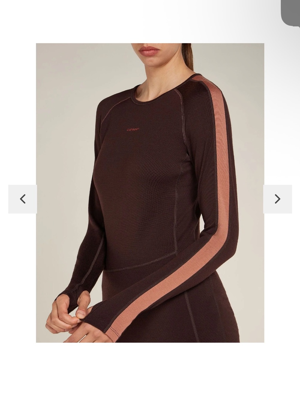 Icebreaker Long-Sleeve Brown Top with Pink Stripe